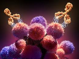 What is Monoclonal Antibody Therapy for Cancer? | Dana-Farber
