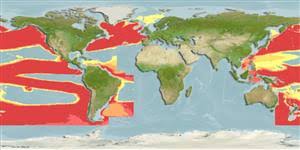 Image result for Micractis