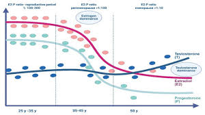 Image result for Sequential Estrogen Replacement
