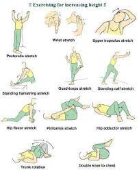 For a proper height gain, swimming is advisable. 8 Grow Taller Workout Ideas How To Grow Taller Workout Grow Taller Exercises