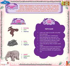 Topik surat iki ya iku kisah wurungé usaha ngrusak ka'bah déning abrahah lan 60.000 tentarané, kalebu 13 gajah. Download Ebook Juz Amma Bergambar 3 Bahasa For Kids Penjelasan Surat Al Fiil Ebook Anak