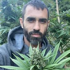 Is it to early to repot these pepper seedlings