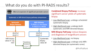 Cette découverte « révolutionnaire » d'une équipe de l'university of south australia pourrait transformer le traitement du cancer de la prostate : Alexandre Schull Schullalexandre Twitter