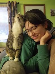 Condolences for the loss of a beloved cat