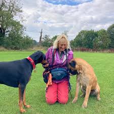 Profile for Malvern Fabdogs