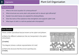 Check spelling or type a new query. Gcse Biology Revision Cards Gcse Biology Flashcards Mme
