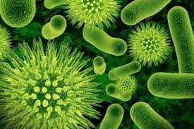 GERMS 101 | UNH Today