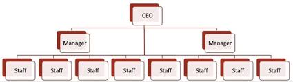 Flat Organizational Structure Diagram Wiring Diagrams