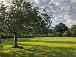 Meeting scheduled for tuesday, april 27 at 6:00 in the clubhouse. Wimbledon S Best Parks Lady Wimbledon