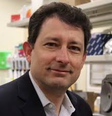 Board and Committee Members