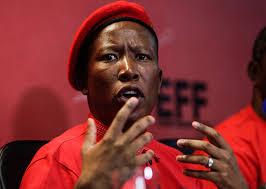 Jun 10, 2021 · julius malema has vented his frustrations towards france during the eff press conference on thursday, sounding a warning to the eu nation. Eff Won T Comply With Level 3 Laws Even If It Means Jail Time Malema Newzimbabwe Com