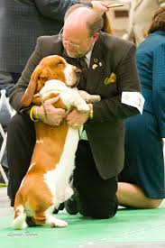 With roomsketcher, every user can access the roomsketcher for free so that you can start your room planning straight away. Podcasts Pure Dog Talk