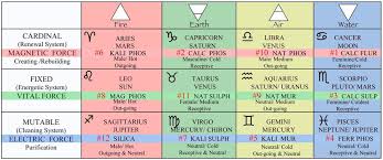 Cell Tissue Salts Universal Truth School