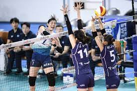 Japanese v.league division 1 2020/21 is men indoor volleyball tournament. Worldofvolley Season In South Korea Won T Be Resumed