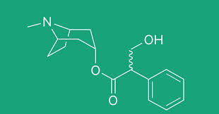 Participants will receive cbd product samples and literature for continued learning and exploration at home. Atropine Is Obtained From Where Trivia Questions Quizzclub