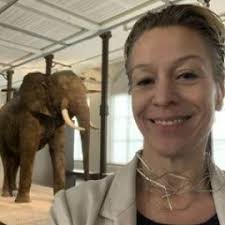 Stakeholder Board and Network