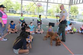 Visit your local rancho cucamonga petsmart store for essential pet supplies like food, treats and more from top brands. Fw6nbprzup93jm