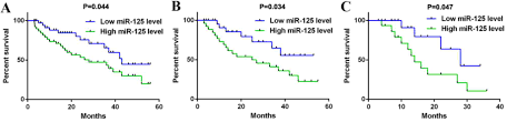 Upregulation Of Mir 125b Is Associated With Poor Prognosis And Trastuzumab Resistance In Her2 Positive Gastric Cancer
