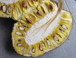 A large crop means that you did not thin enough the prior year. What Is Jackfruit And How To Eat It