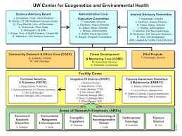 Organizational Chart About The Ceeh Center For