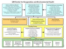 organizational chart about the ceeh center for