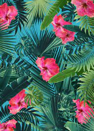 Tropical Hibiscus Flower 1 Metal Poster Print Anita S Bella S Art Displate In 2021 Flower Background Wallpaper Tropical Background Tropical Wallpaper