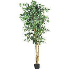 Ficus tree artificial tree tree trunks olive tree birthday bash tree decorations trees china detail. Artificial Silk Ficus Trees Nearly Natural