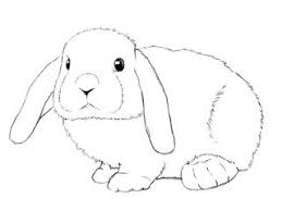 Pin On I M Drawing A Blank