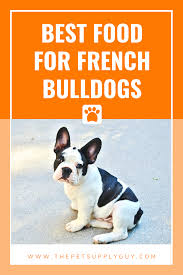 What is the best food for a french bulldog with a sensitive stomach, then? Best Food For A French Bulldog With A Sensitive Stomach The Pet Supply Guy French Bulldog Bulldog Best Dry Dog Food