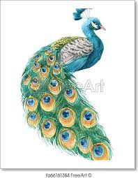Free Art Print Of Watercolor Peacock Illustration Watercolor Peacock Free Art Prints Peacock Art