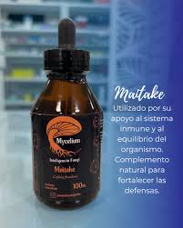 Maitake — Mycellium