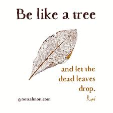 14 Quotes About Healing Your Heart And Emotional Wounds Nature Quotes Rumi Quotes Peace Quotes