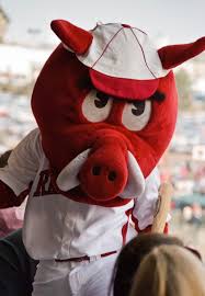 Get the latest and greatest arkansas razorbacks news, information, predictions and more from athlon sports' team page. Ribby Is The Baseball Mascot For The University Of Arkansas Razorbacks Arkansas Razorbacks Football Arkansas Football Arkansas Razorbacks