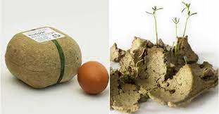 Biting insects may also lay eggs in compost that contains whole eggs, leading to more flies and more bites. Plants Grow Out Of This Biopack Egg Carton When You Re Done With It