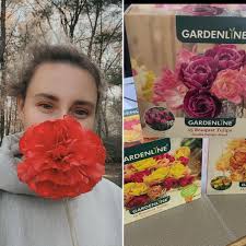 I turned my dead ass bouquet of roses from Aldi's last spring into 4 new  rose plants. Look at this punk little baby flourish.💗