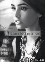 The novel classic sentence小說經典句子