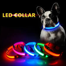 Led Dog Collar Usb Rechargeable Led Dog Collar Dog Leads Led Collar