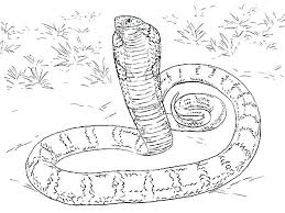 Rattlesnake Coloring Pages Anaconda Coloring Page Snake Coloring Pages Animal Coloring Pages Coloring Pages