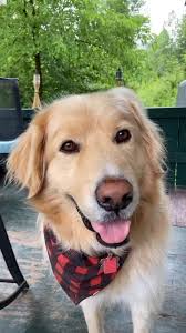 Kimberly Ousley (@kocountry)