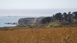 Maybe you would like to learn more about one of these? Explore Ano Nuevo State Park Northern Elephant Seal Breeding Colony