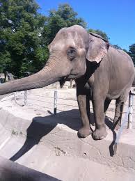 Zoo Hagenbeck Hamburg Hamburg Meine Perle Deutschland