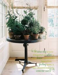 Interiors Indoor Herb Garden Plants Plant Table