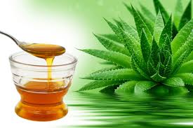 как сделать лекарство из алоэ и меда для желудка Aloe S Medom Lechebnye Svojstva I Protivopokazaniya Chto Lechit Aloe Shelushenie Kozhi I Maski Dlya Volos