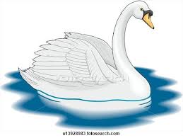 Baby Swan Clipart Black And White Pin By Sue Jones On For The Book Clip Art Swan Swans Art