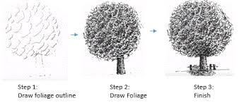 An easy guide for beginners to draw trees with pen and ink including many examples. Drawing With Trees Pen And Ink Drawings By Rahul Jain