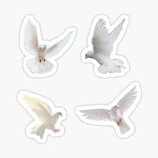 It's also one of the most common colors of feathers sent to us by angels on behalf of our deceased loved one. White Dove Stickers Redbubble