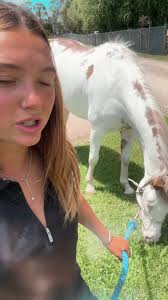 You won't get a better view of Willie Pike winning his 6th Railway tha...