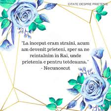 Să ai parte de multă sănătate și bucurii. Cele Mai Bune Citate Despre Prietenie Prietenul Meu Virtual