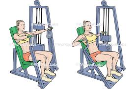 Hammer Strength Machine / Seated Chest Press – WorkoutLabs ...