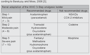 What are the symptoms of renal failure? Pdf Pain In End Stage Renal Disease A Frequent And Neglected Clinical Problem Semantic Scholar